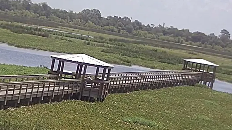 Catfish Marsh, Beaumont, Texas Webcam / Camera