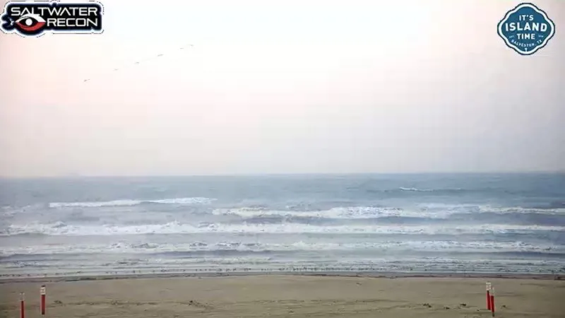 Stewart Beach, Galveston, Texas Webcam / Camera