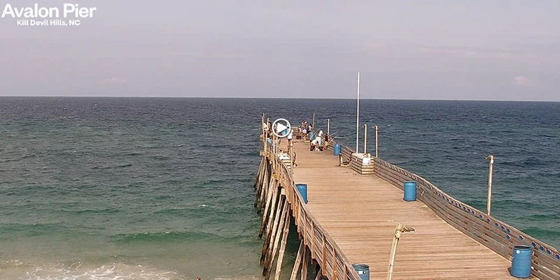 Avalon Pier & Beach, Kill Devil Hills, North Carolina Webcam / Camera
