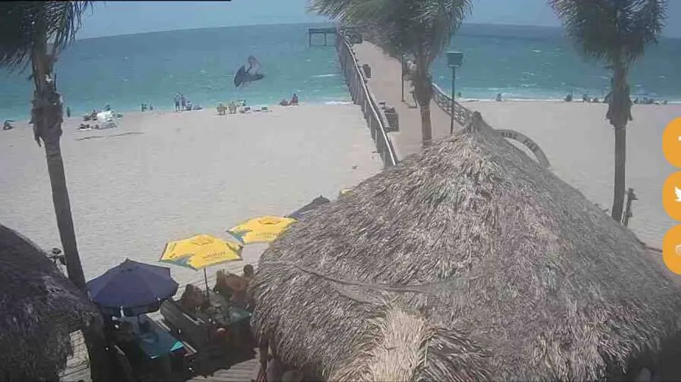 Sharky's On The Pier, Venice, Florida Webcam / Camera