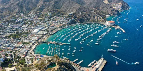 Aerial view of the the Port of Avalon, California