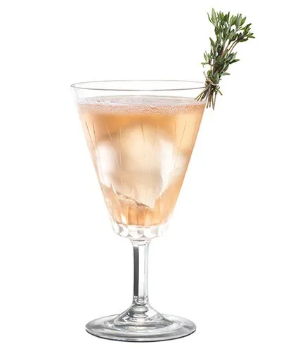 Elixer Fizz Recipe - Carnival Cruise Line