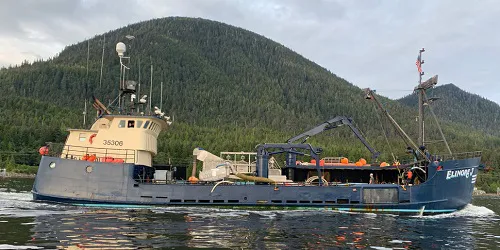 Elinore J Real-Time Cruise Ship Tracking