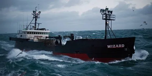 Wizard Real-Time Cruise Ship Tracking