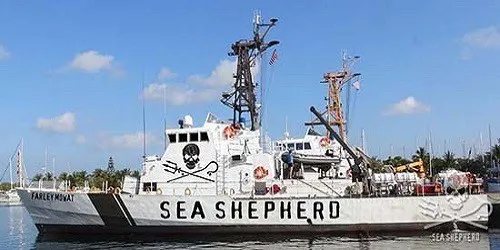 Live real-time iconic ship tracking of Farley Mowat from Sea Shepard