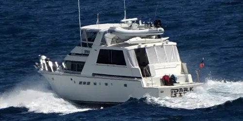 The Dark Side Real-Time Cruise Ship Tracking