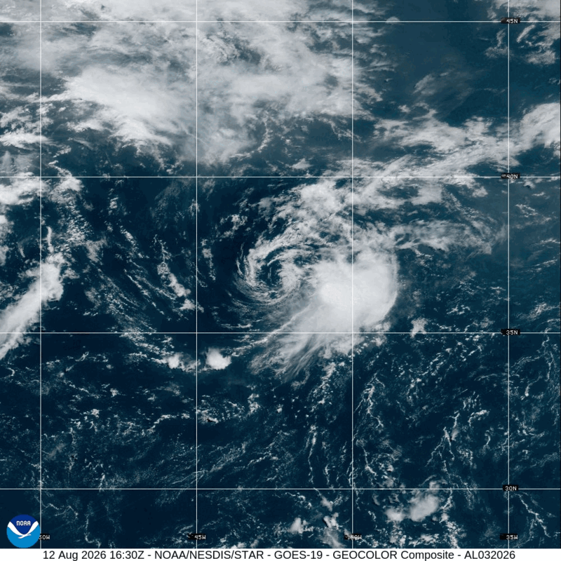 Tropical Storm Cristobal (2026) Peak Intensity Satellite Image Animation