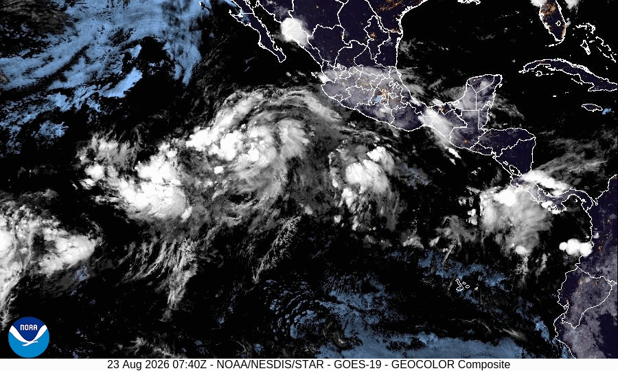 Tropical Storm Iselle Peak Intensity Satellite Image Animation
