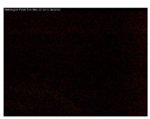Norwegian_Pearl Cam.JPG